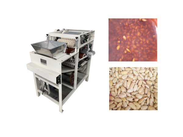 Almonds Peeling Machine - Image 2